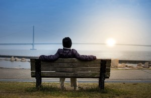 person sitting on bench facing suspension bridge