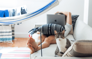 person laying on white couch looking at their lap top with a cat sitting at their feet