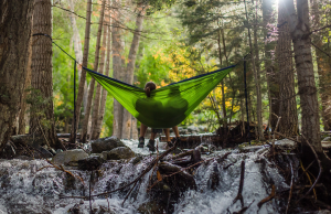 two people on green hammock outside in woods