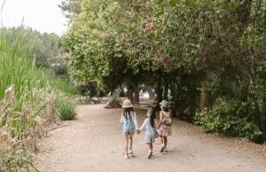 Three girls hold hands on a walk down forested path